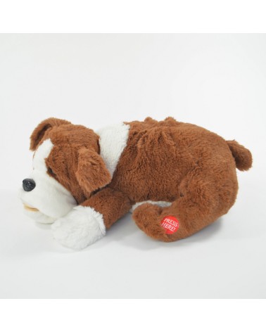 Geadopteerd speelgoed Hund Fridolin - Dimensies: 29x21x10cm, toegewijd aan tactiel gebruik