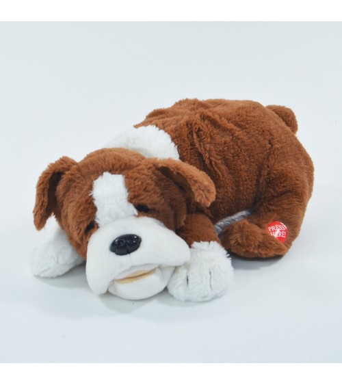 Geadopteerd speelgoed Hund Fridolin - Dimensies: 29x21x10cm, toegewijd aan tactiel gebruik