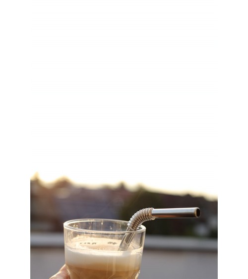 Acciaio inossidabile "Turtleneck® Straw" 4 paglie da bere argento 22cm Ø 7,5 mm, incl. sacchetto di stoccaggio e spazzole!