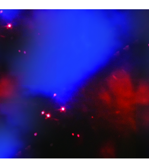 Carrello per riposo e relax - inclusione, famiglia, terapia, tempo libero