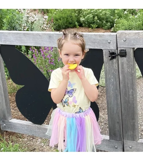 Collar de caucho Shell de Ark Therapeutic – Disminuir la ayuda para calmar la concentración