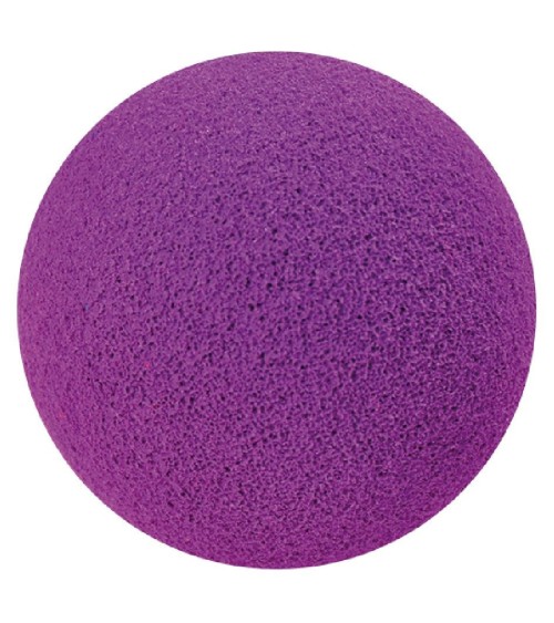 Noiseless can throw game for fun and inclusion | family, therapy, leisure