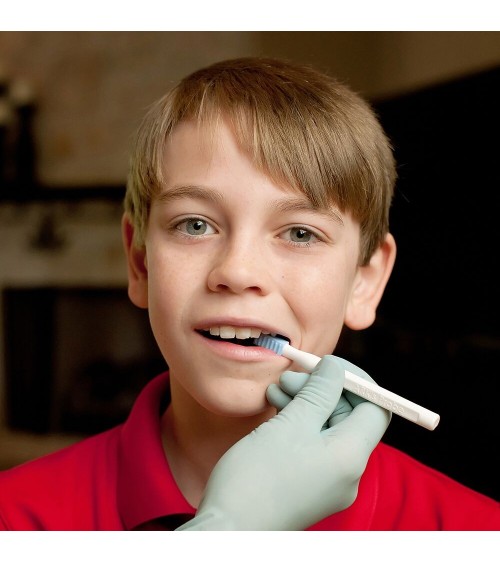 Ark Basic Therapy Foundation Therapy Need for OFT