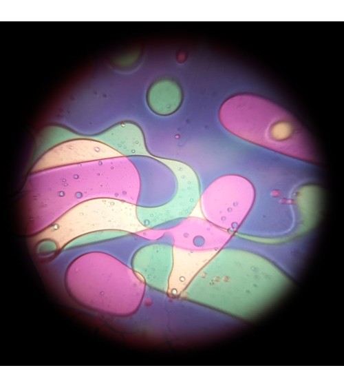 Disque d'huile vert Violet avec effet Lavalampen pour projecteur spatial