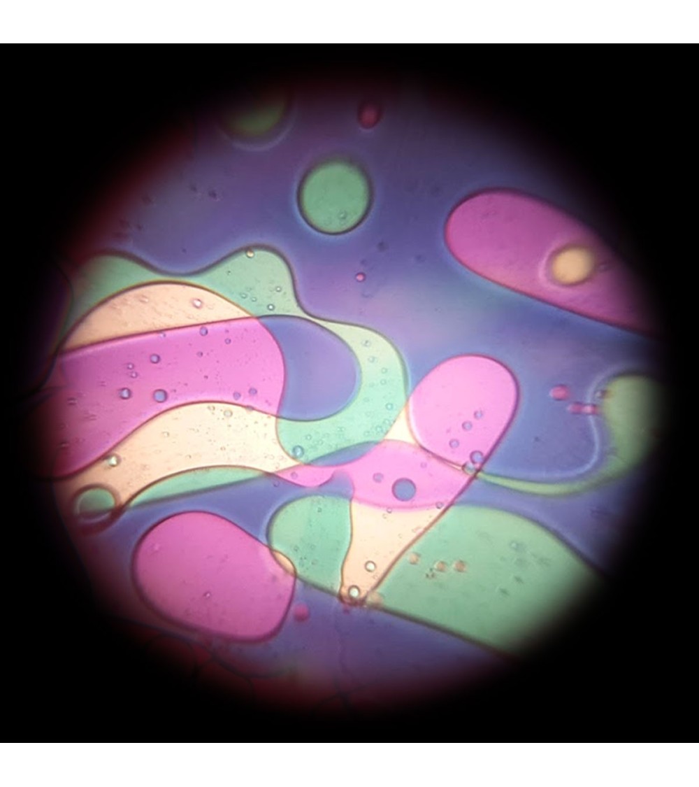 Violet green oil disc with Lavalampen effect for the Space Projector