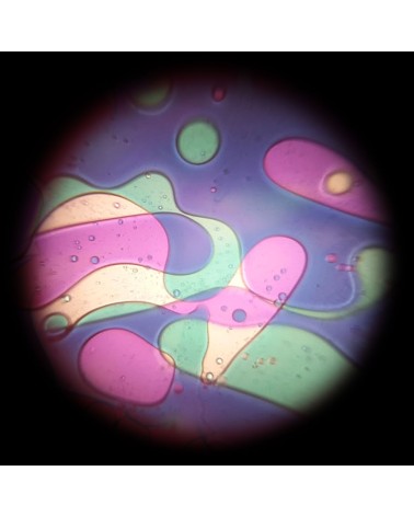 Disco de aceite verde violeta con efecto Lavalampen para el proyector espacial